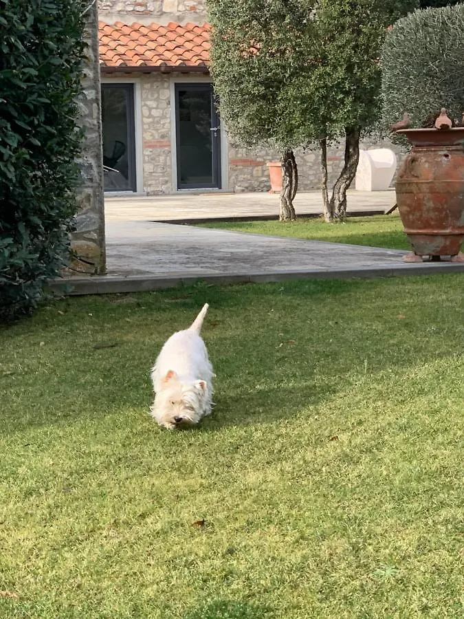 Appartamento In Villa Con Piscina - Mhateria Relais Rignano Sull Arno Holiday home